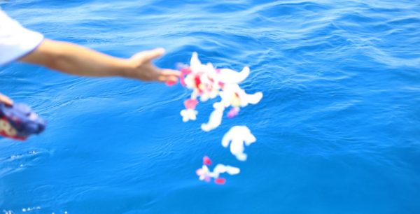 散骨を海で行うセレモニー☆悩みが解決する5つの知識